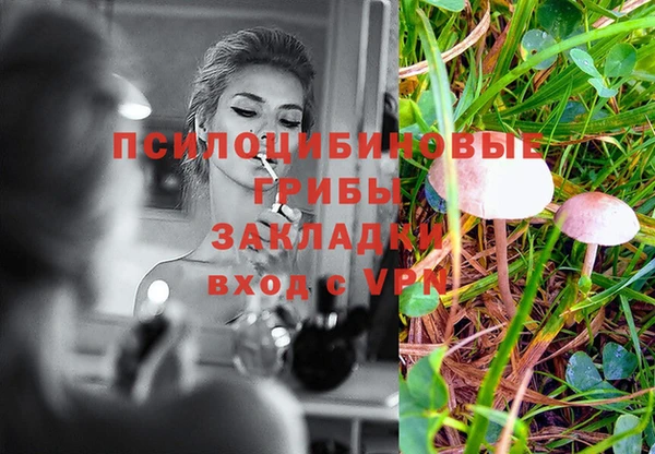 МДМА Бородино