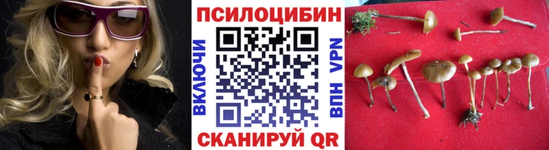 Галлюциногенные грибы прущие грибы  omg ССЫЛКА  Гудермес 