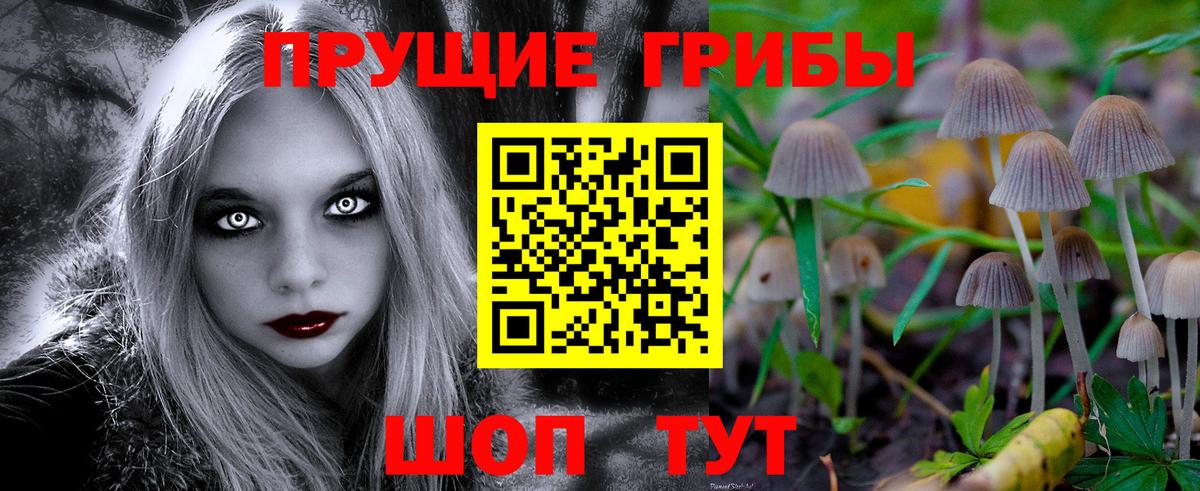 Галлюциногенные грибы Magic Shrooms  Вход с VPN  Гудермес 