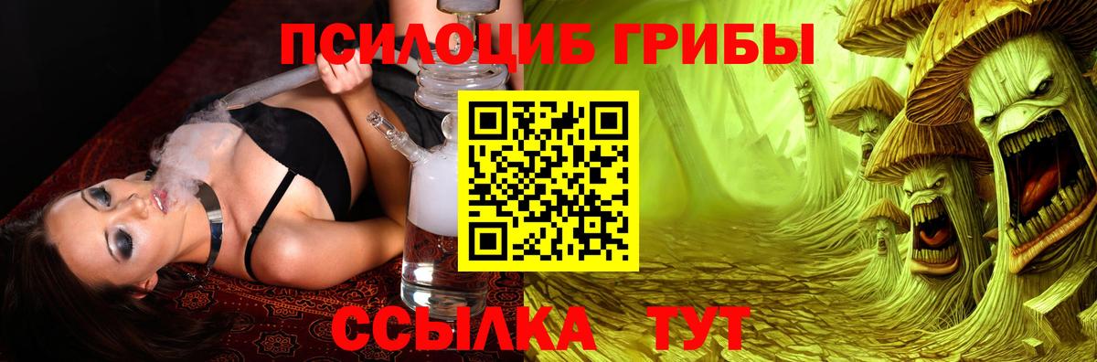 Галлюциногенные грибы Psilocybe Гудермес